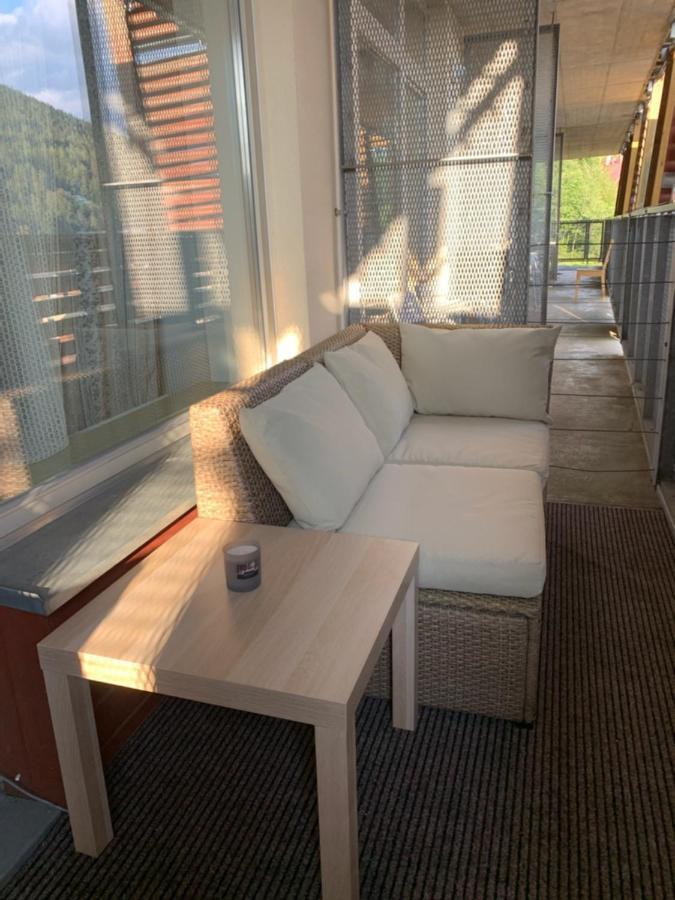 Apartman Certovka Harrachov Dış mekan fotoğraf